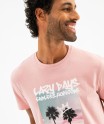 16WALAI rose